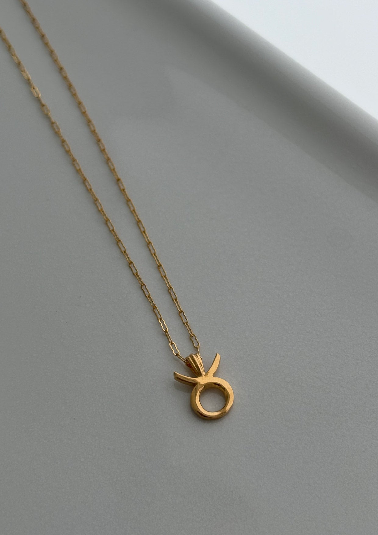 Zodiac Sign Necklace