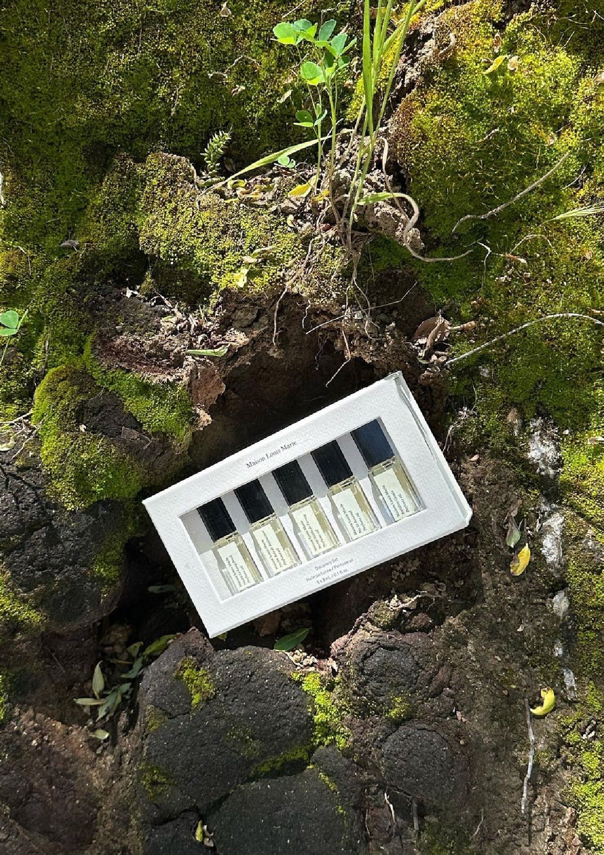 Perfume Oil Discovery Set (Bestseller Fragrances)