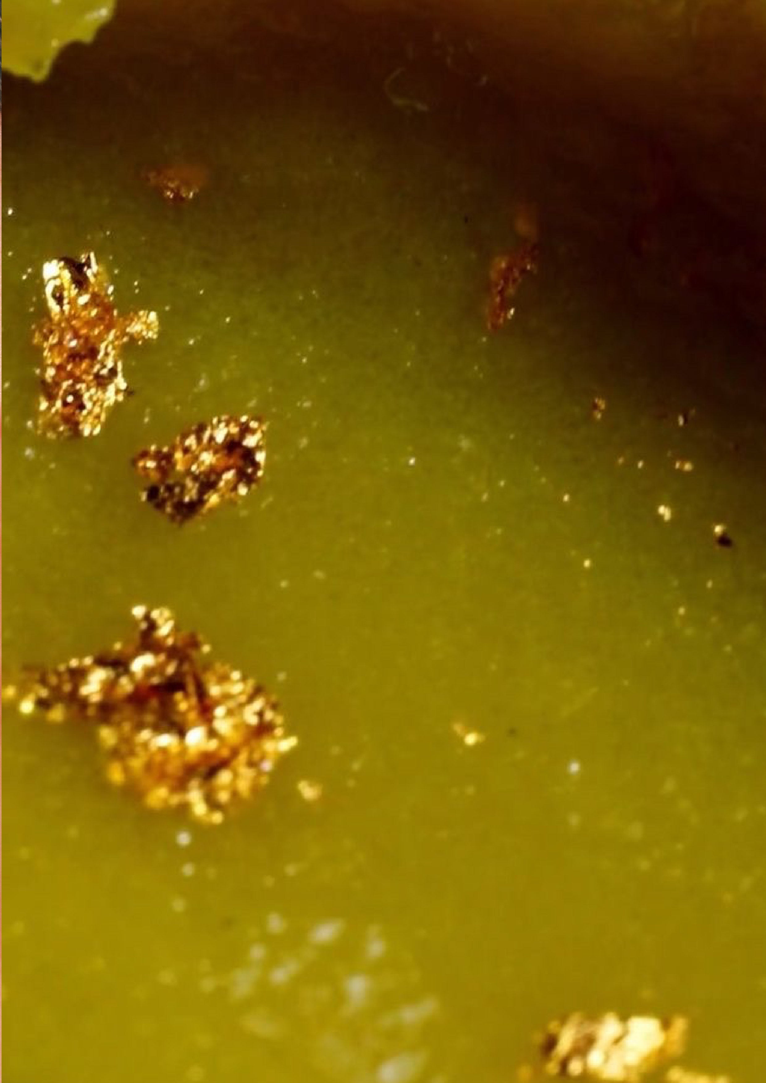 永恆金箔美容膏|Everlasting Beauty Balm