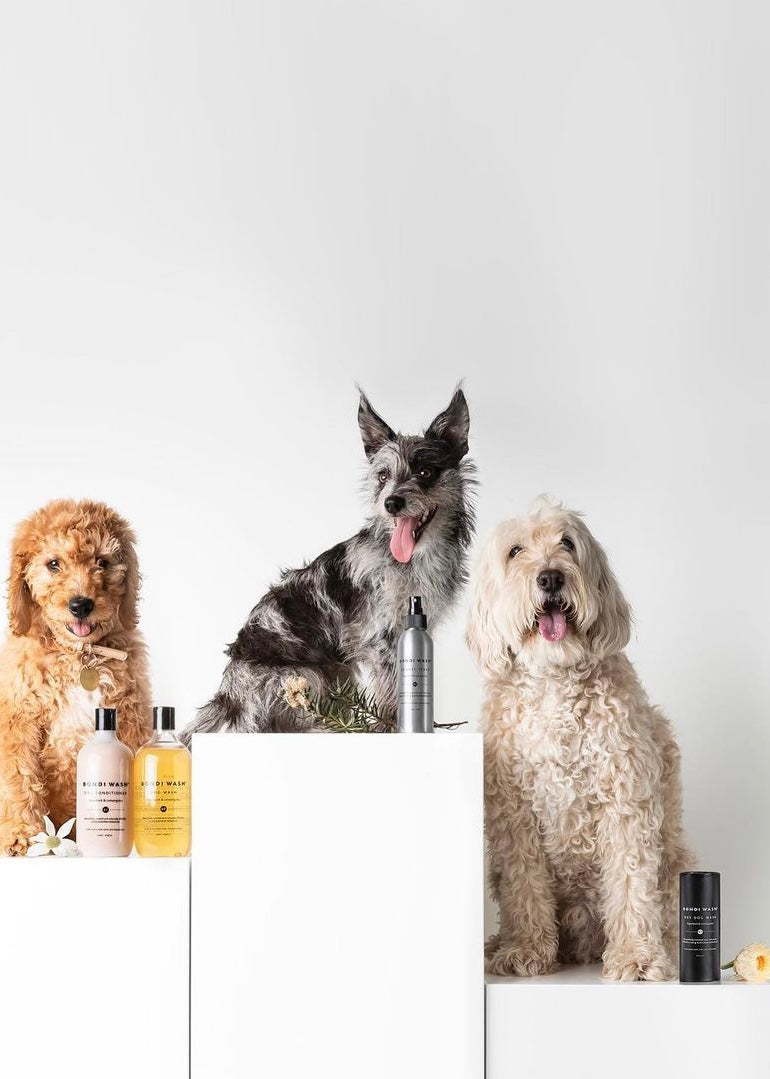 寵物乾洗粉 | Dry Dog Wash